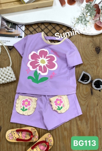 BỘ ĐÙI HOA CÚC ( BG113)