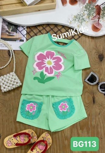 BỘ ĐÙI HOA CÚC ( BG113)